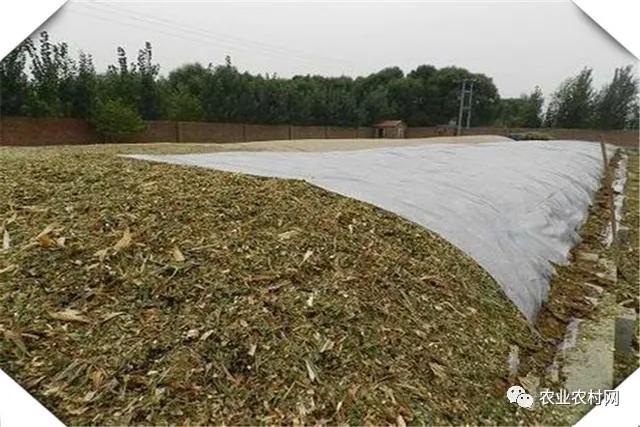 在农村开一个小型面粉加工厂利润,农村办个小型红薯加工厂需多少钱