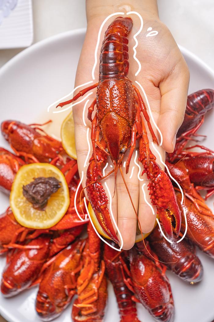 魔都排队王入驻苏州,魔都打边炉哪家最好