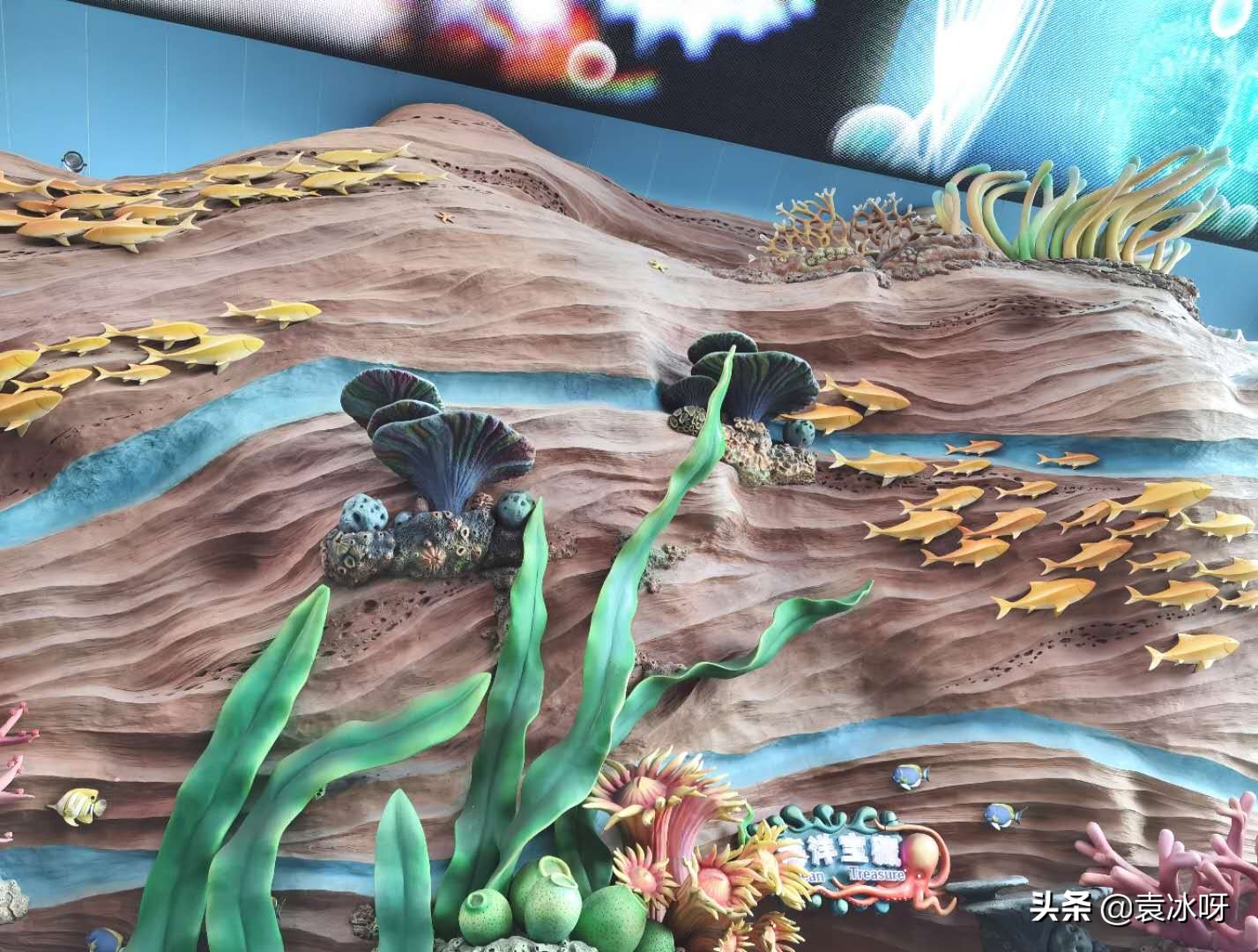 珠海长隆海洋王国一日攻略,珠海长隆海洋王国停车场攻略