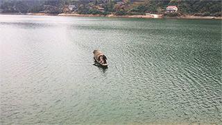 四渡赤水渡过金沙江,四渡赤水渡过大渡河