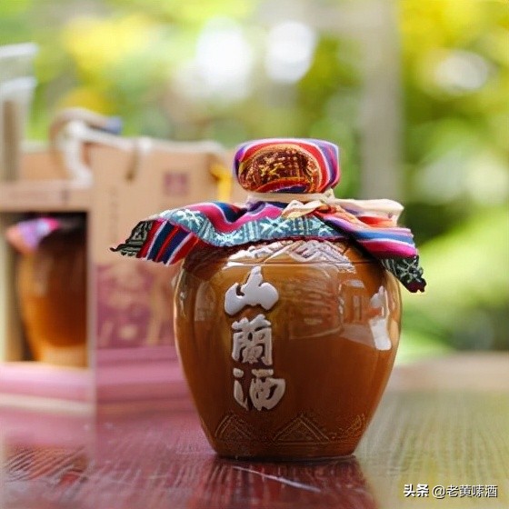 海南十大特产酒,海南椰岛鹿龟酒在海口吗