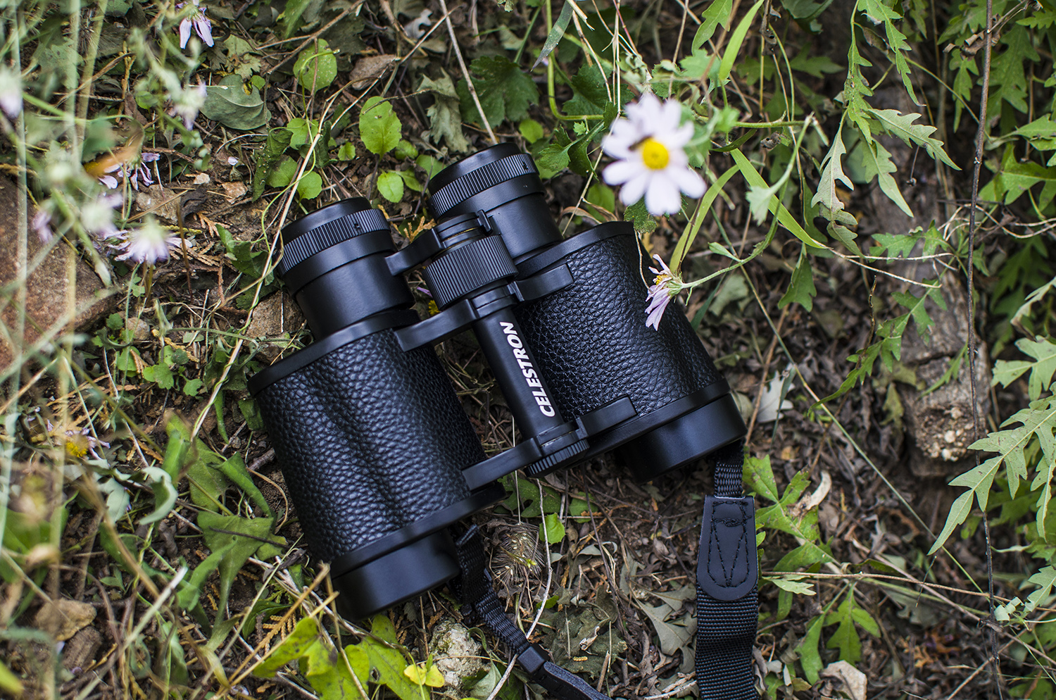 星特朗望远镜高倍高清夜视专业级,星特朗望远镜4mm非球面目镜