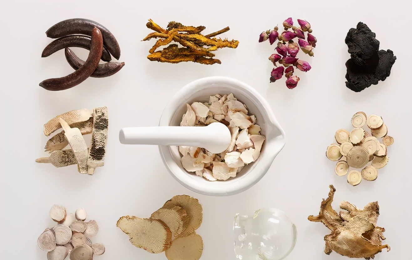 鲁兆麟讲中医各家学说,鲁兆麟说中医