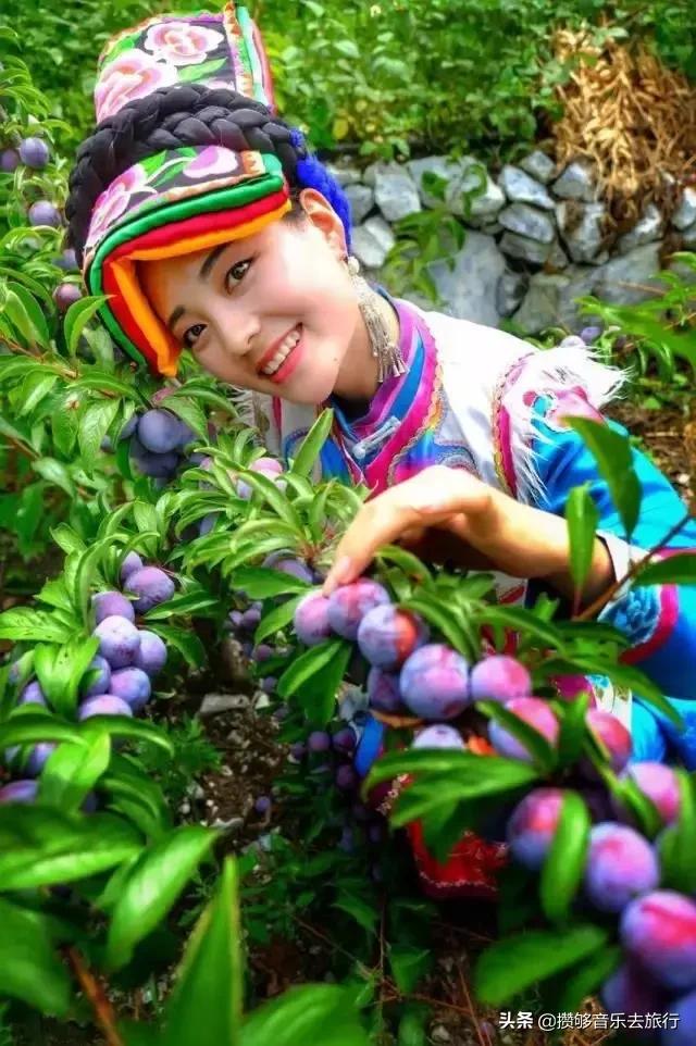 四川阿坝我的家乡,我的家乡汶川特色美景