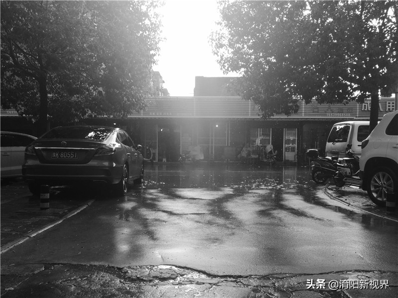 南阳八月七日下午这场雨,说来就来也不给你打个招乎