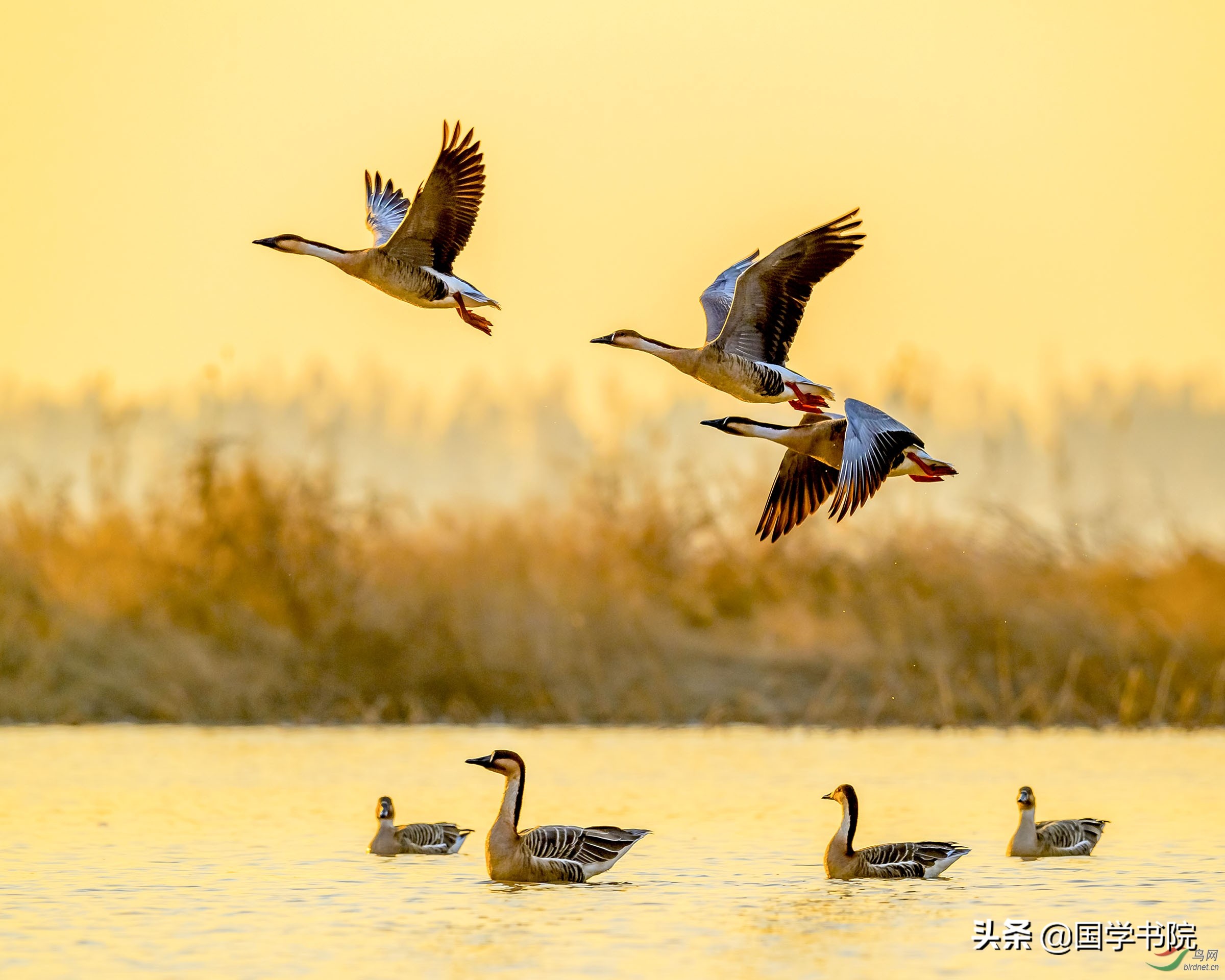 谜语88打一成语,10个最经典的谜语故事及答案简短