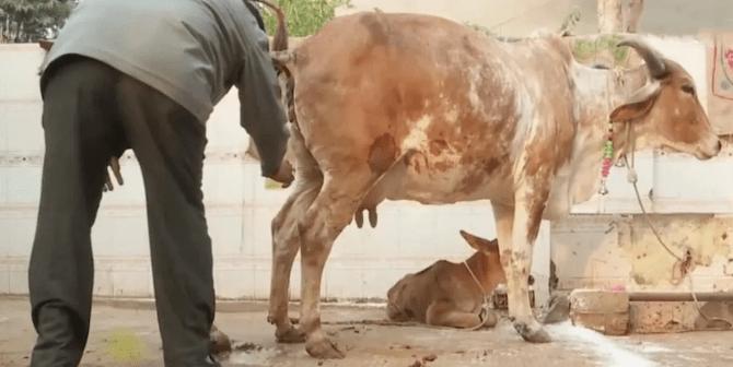 瞒不住了？！疫情最大的黑洞，这个国家可能导致疫情爆发