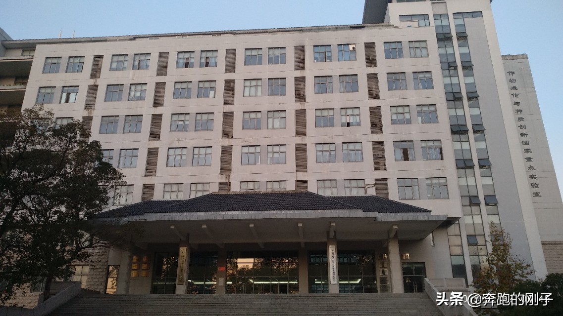南京农业大学秋天美景,逛一下环境优美的南京农业大学
