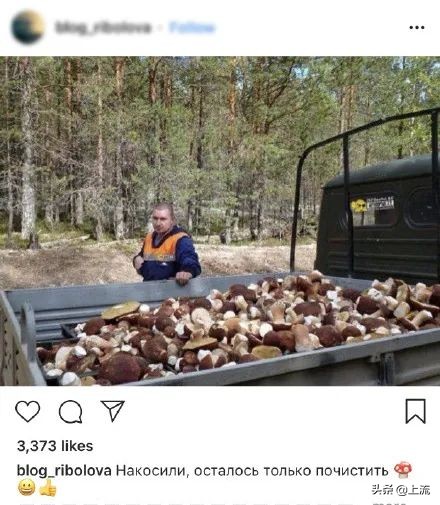 为啥俄罗斯大汉总是背着老婆钻树林？