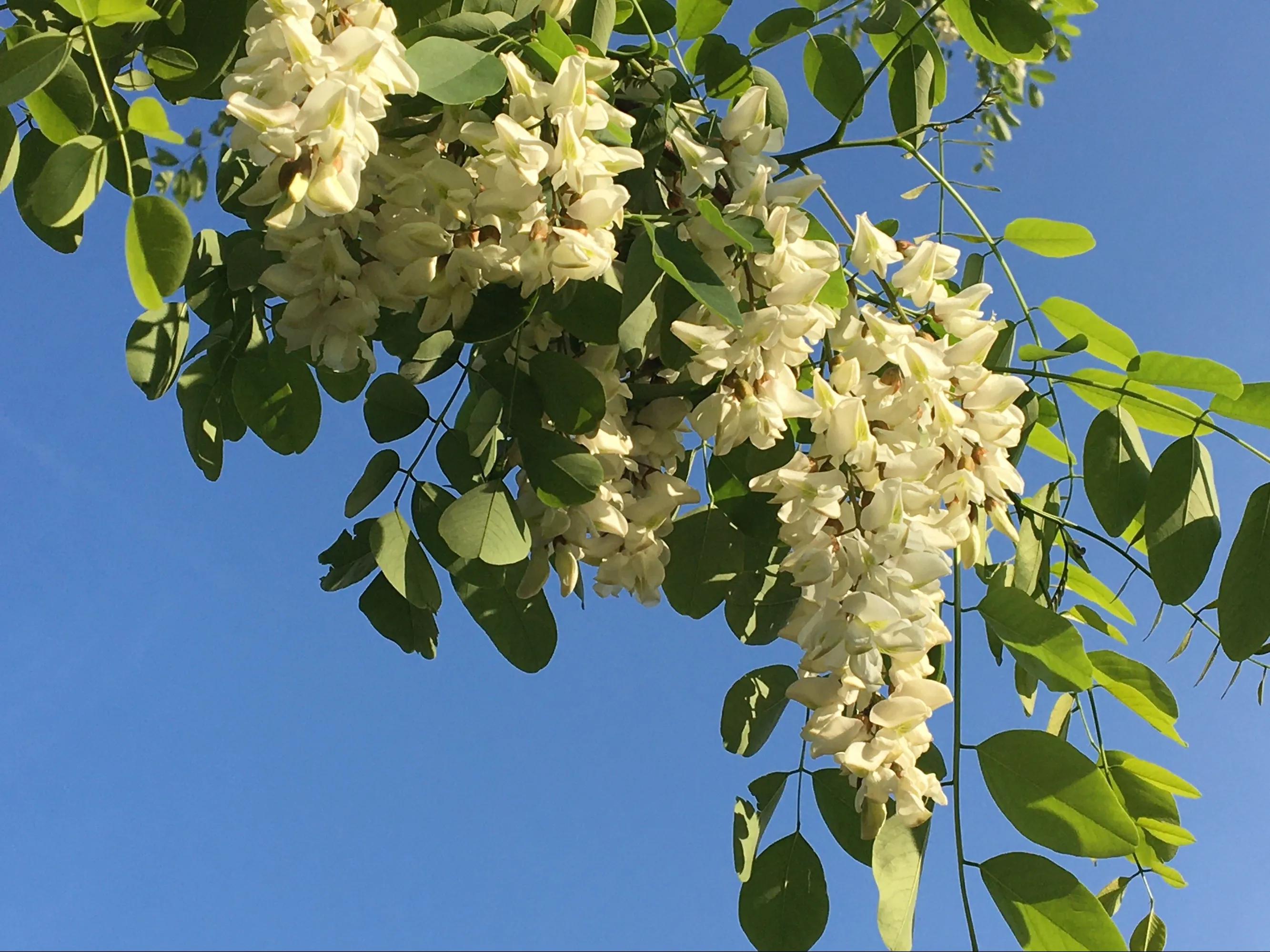 鏁呬埂鏈灏忚,鏁呬埂璁颁簨