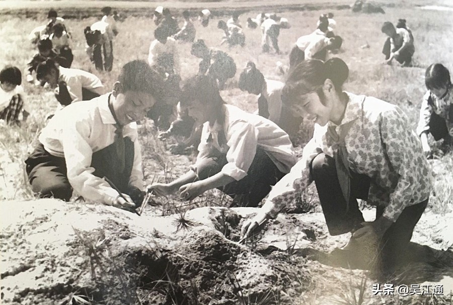 你可曾听说过向阳花小学？那可是当时的网红哦！