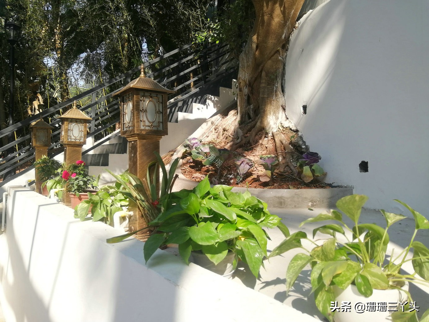 广州火炉山农家乐窑鸡,火炉山哪家农庄最好