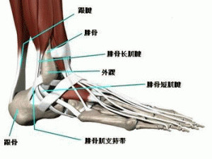 小腿肌肉外翻和膝盖内扣一样吗,小腿肌肉外翻骨头是弯的