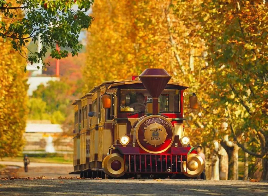 看惯了千篇一律,看惯了千篇一律的风景