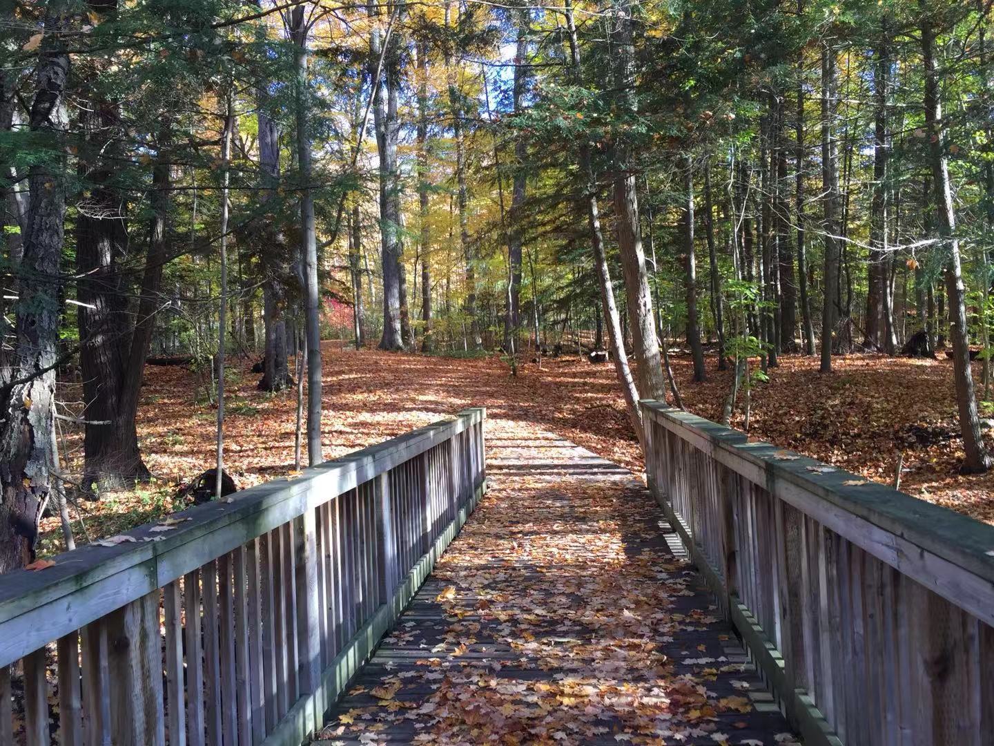 深秋加拿大摄影,深秋的天空特别美