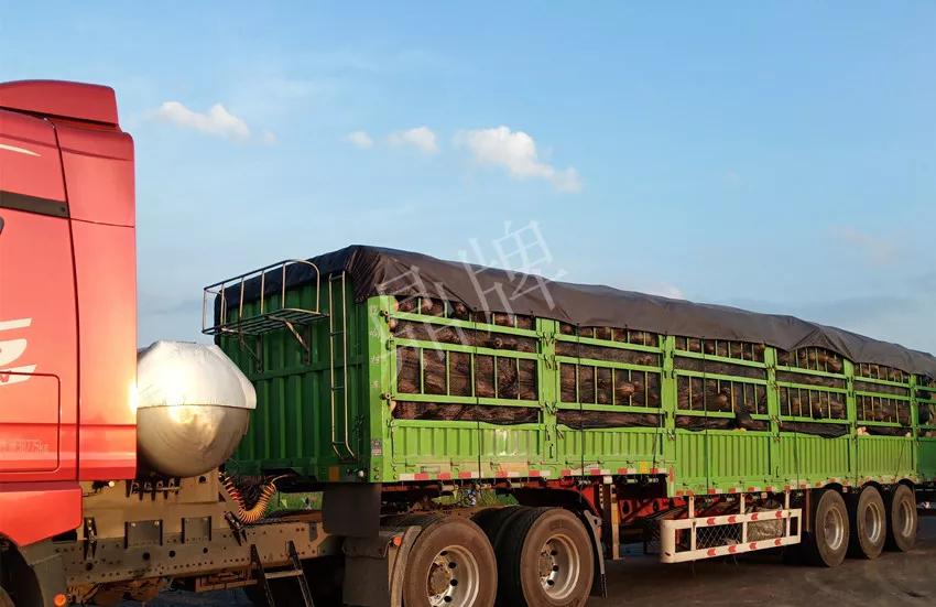 2010年的科研成就,10年潜心研究12项专利