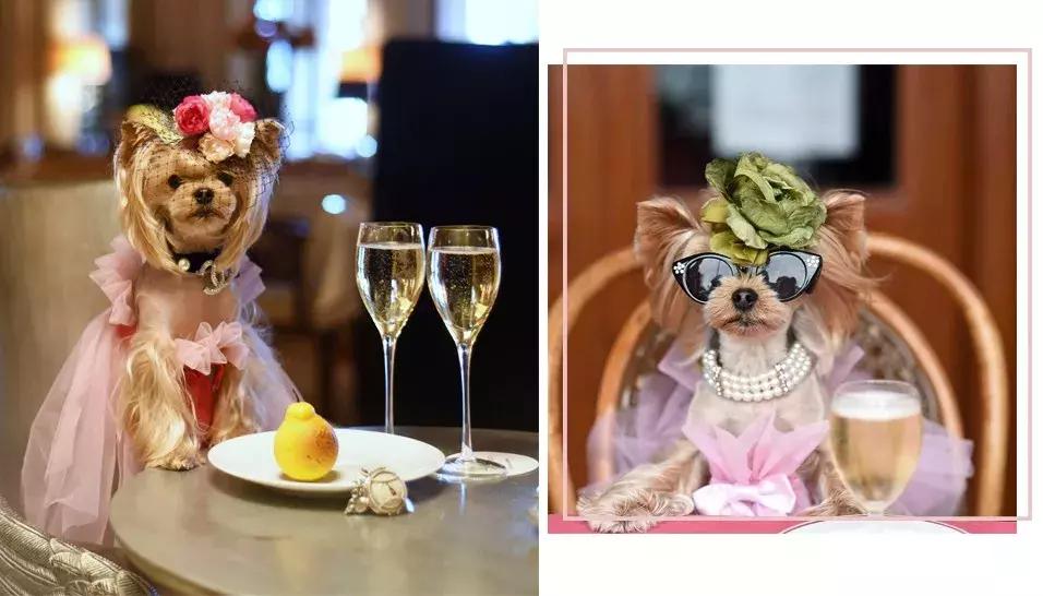 gucci和supreme联名马丁靴,guccisupreme鞋子