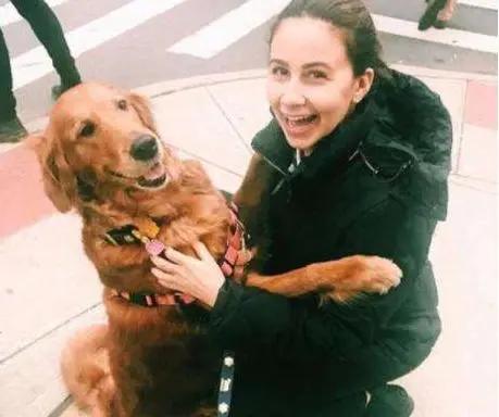 最适合新手养的狗狗十大排行榜,十种最好养的狗狗优缺点图片