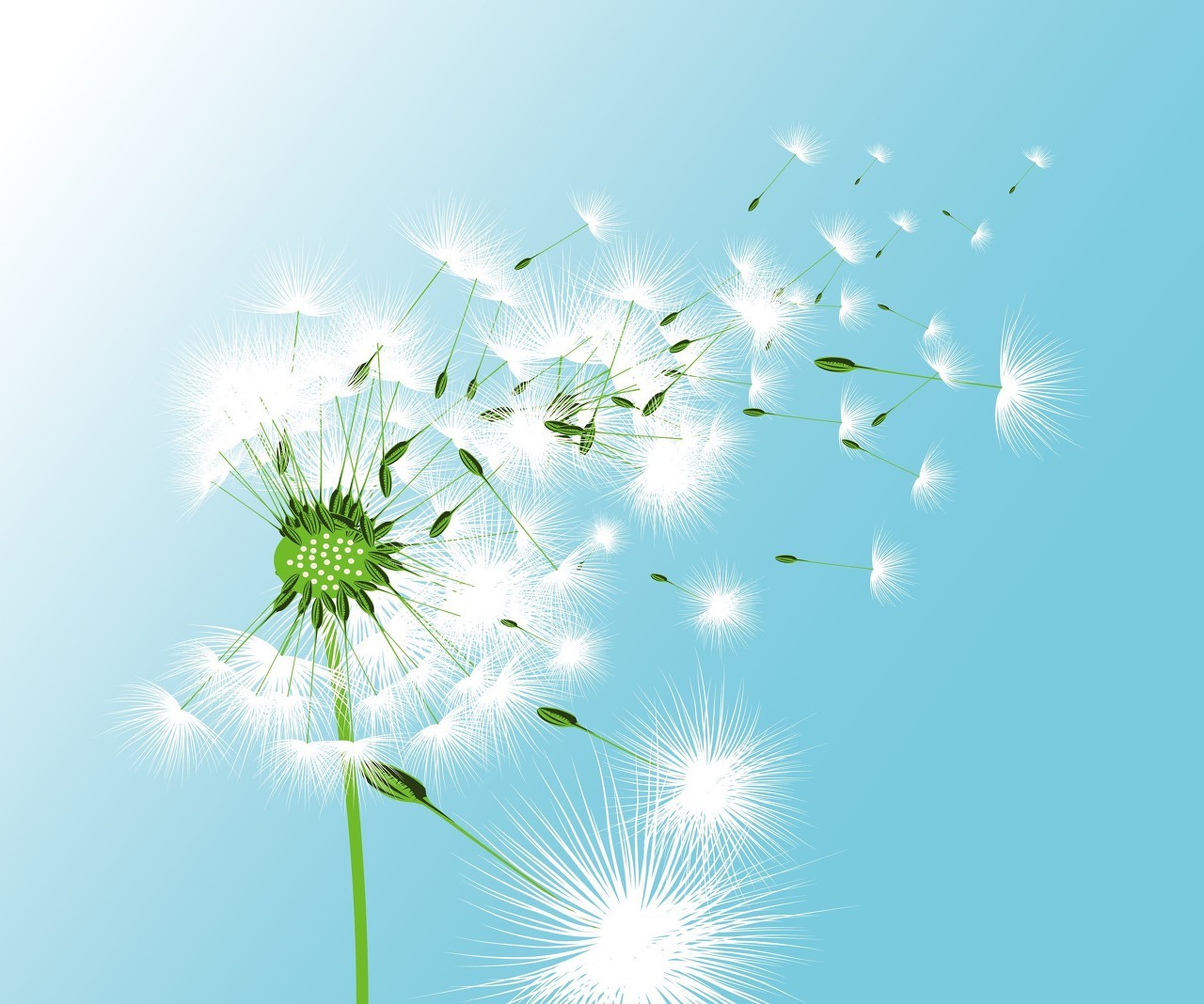 （六十二）卷毛也是个苦命的女人