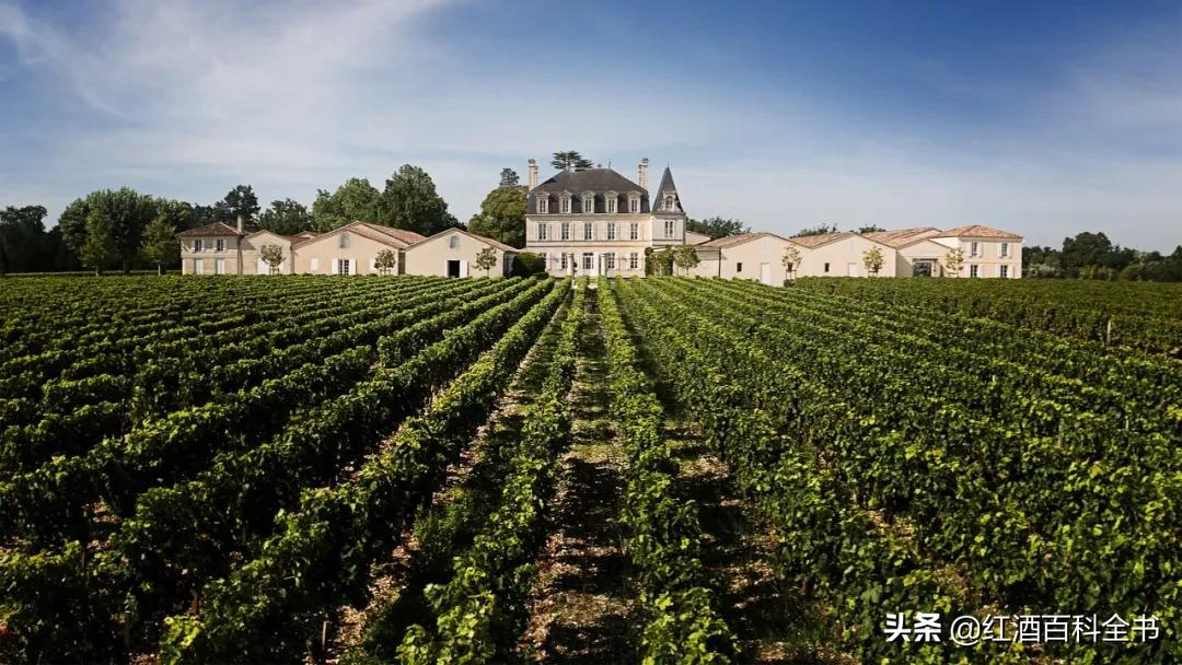 拉图嘉利酒庄与拉图酒庄是一家吗,拉图酒庄红酒价格表