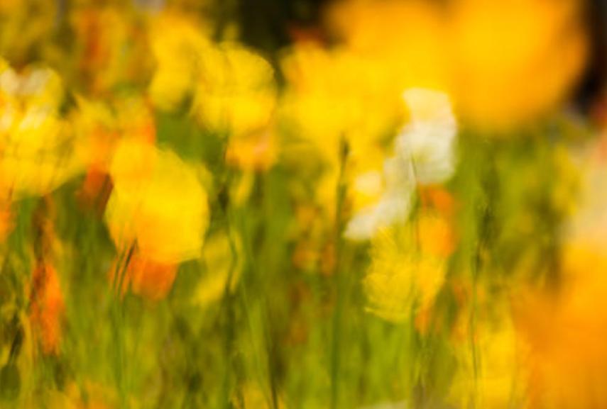 刚拿到相机这13个设置要记好,十大毁掉你的相机设置