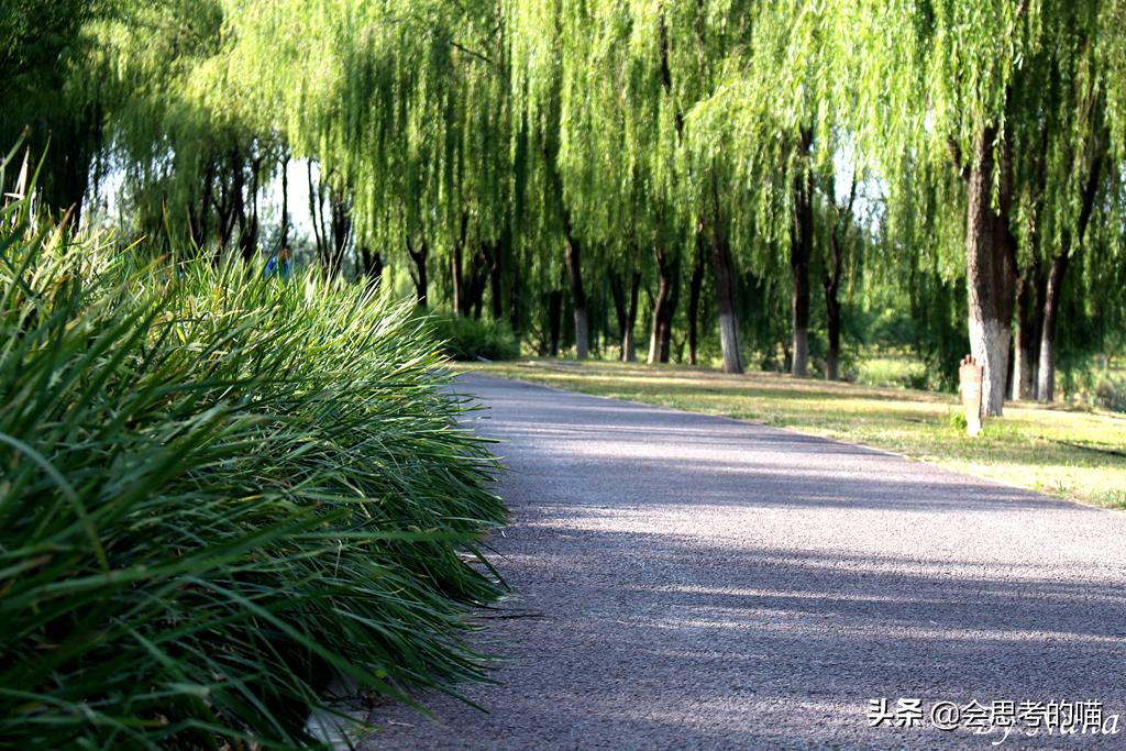 大兴南海子公园还开放吗,南海子公园现在开门了吗