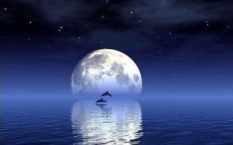 特别优美的关于月亮的古代诗句,关于月亮的诗句和感受