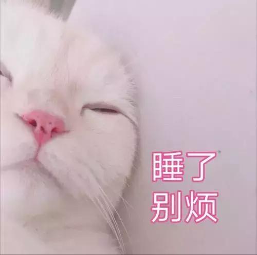 猫咪发情那些事，发情的猫咪都有什么表现呢？