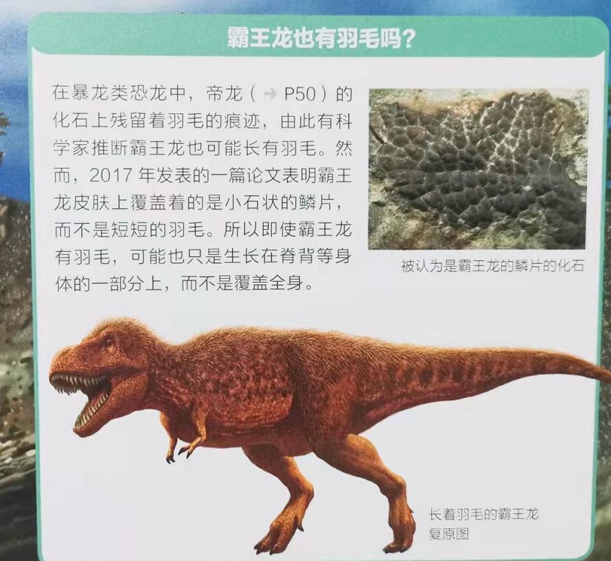 跪了！科普界天花板！恐龙迷们不要犹豫