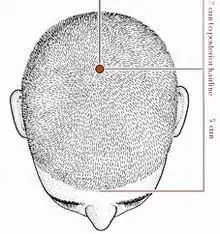 神经调控技术治疗抑郁症,针清知识普及