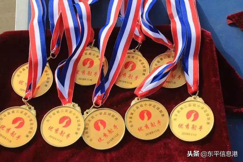 东平小学足球比赛直播,东平小学足球比赛