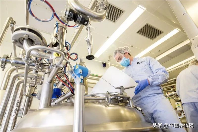 贝豪集团梁宏丽,贝豪集团梁宏丽简介