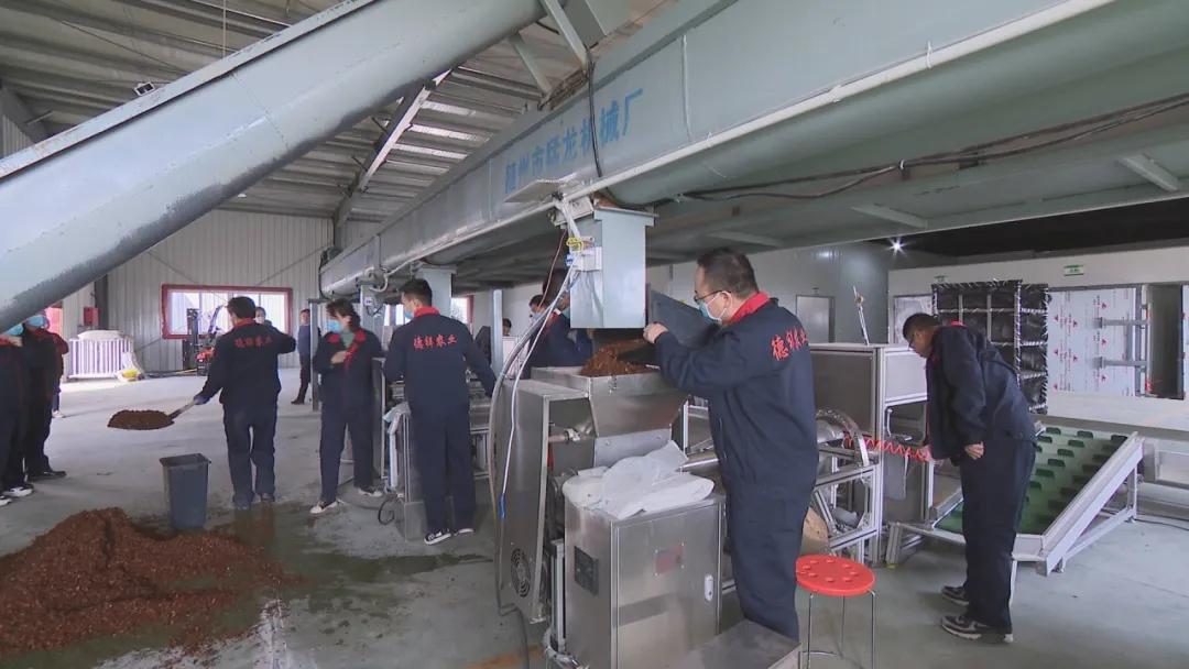 德祥农业种植开发,德祥农业大项目