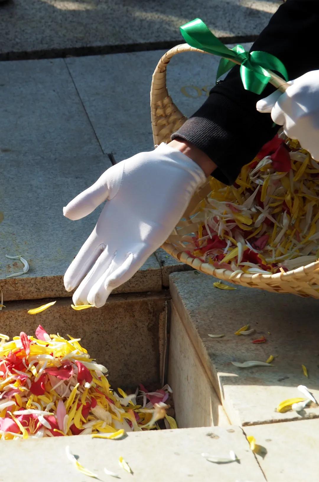 同泰第四届集体树葬圆满举行，21位树葬人士回归自然