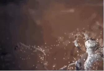 18张动图揭秘，你不是游得最快的那一个精子