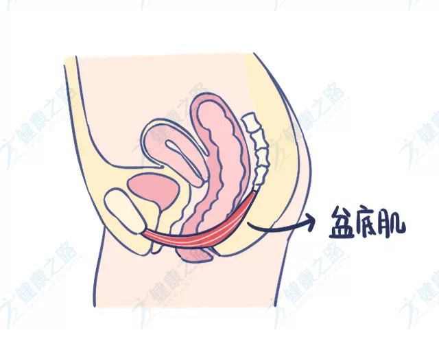 松了咋办,太松怎么收紧的妙招