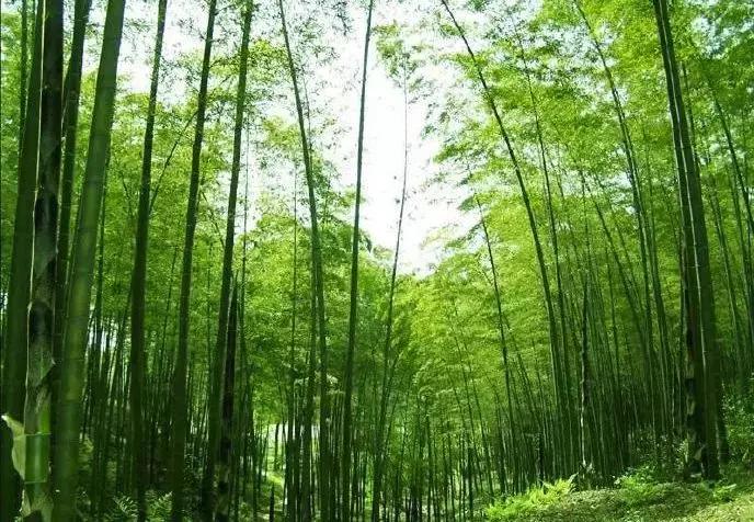 等一个人陪我旅游,等一个人陪我一起跨年