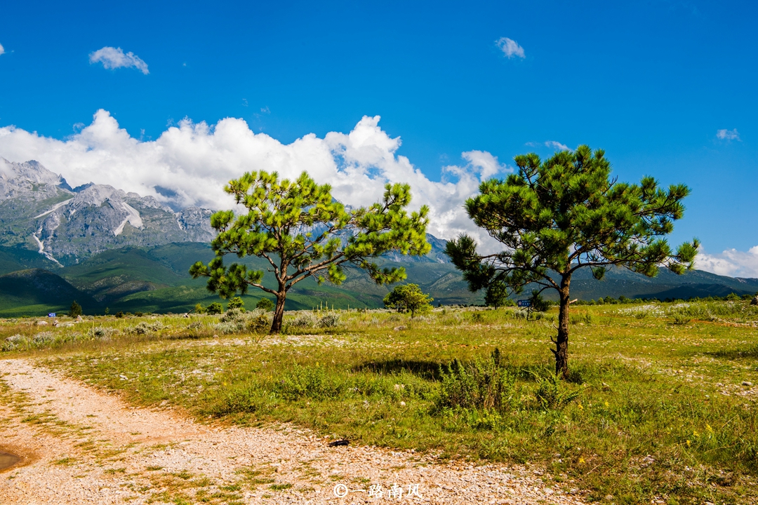 云南旅游必去的城市排名榜单,云南昆明大理哪个适合旅游