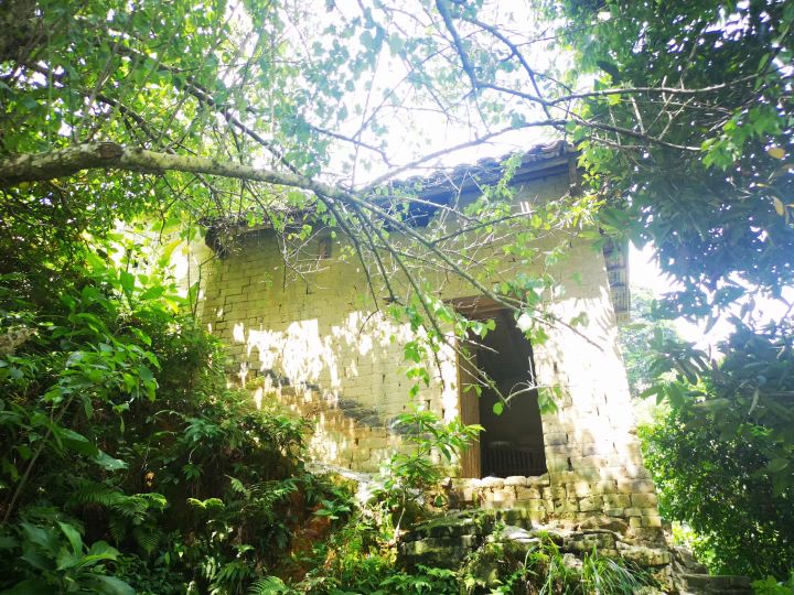 三胎政策与未来足球,如今国家已经开放三胎生育政策