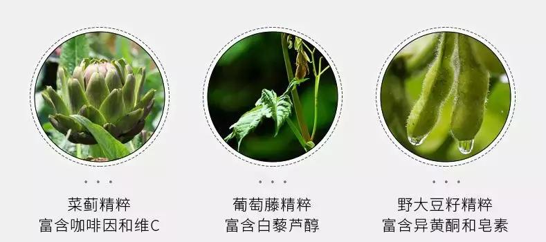 眼膜紧致抗皱淡细纹面膜,spa蛇毒眼膜与羽森眼膜区别
