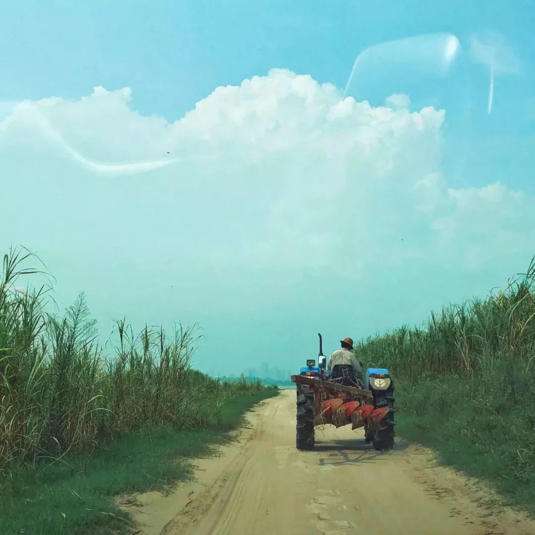 在武汉生活的100条“*规则潜**”，正宗的武汉人也未必知道