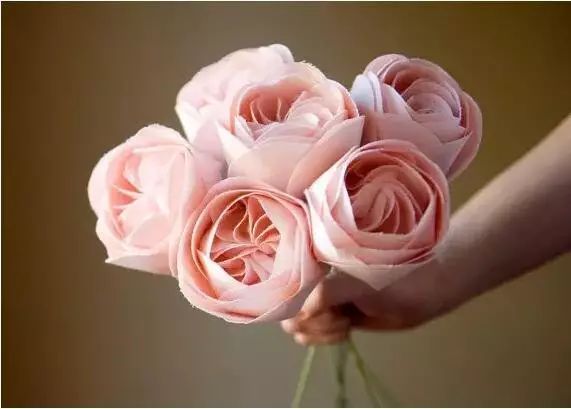 世界十大漂亮名贵花卉,植物研究世界名贵花卉