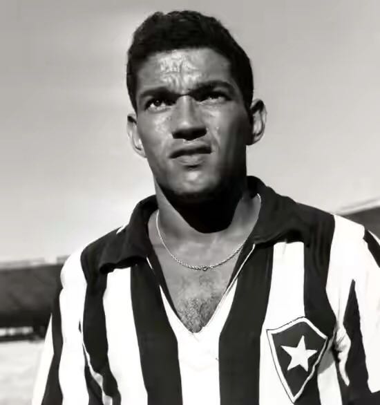 小鸟加林查过人集锦,小鸟加林查