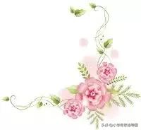 写作描写技巧视频教程,写作方法有哪些细节描写