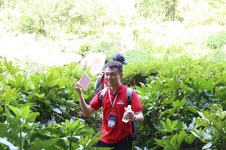 垃圾分类，景区在行动！浪漫七夕，宜兴竹海环保分类大挑战