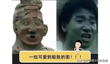 深海里有哪些鲜为人知的神秘生物,深海浮游生物图片