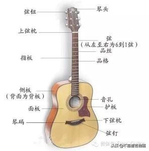 讲解吉他琴弦怎么保养,全单吉他日常怎么保养
