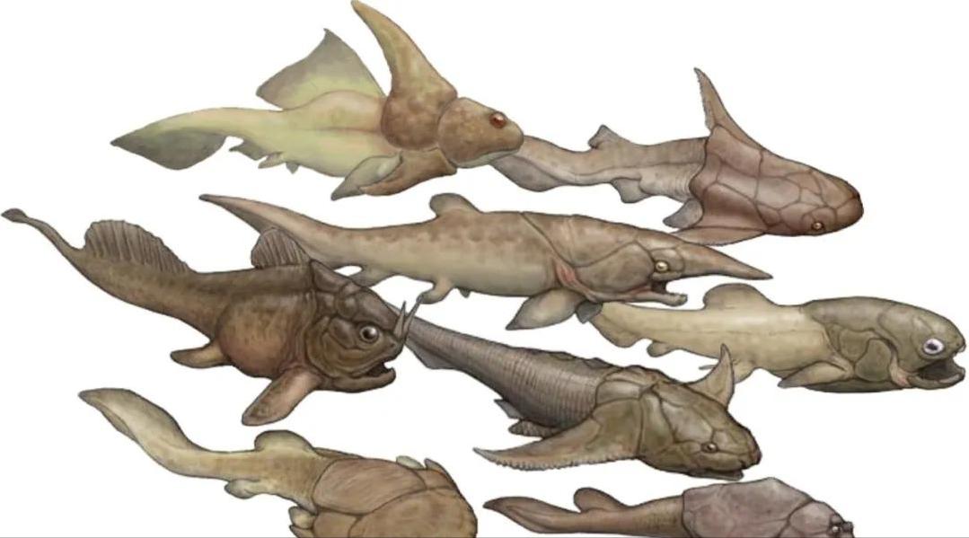 邓氏鱼怎么灭亡,邓氏鱼用什么驯服