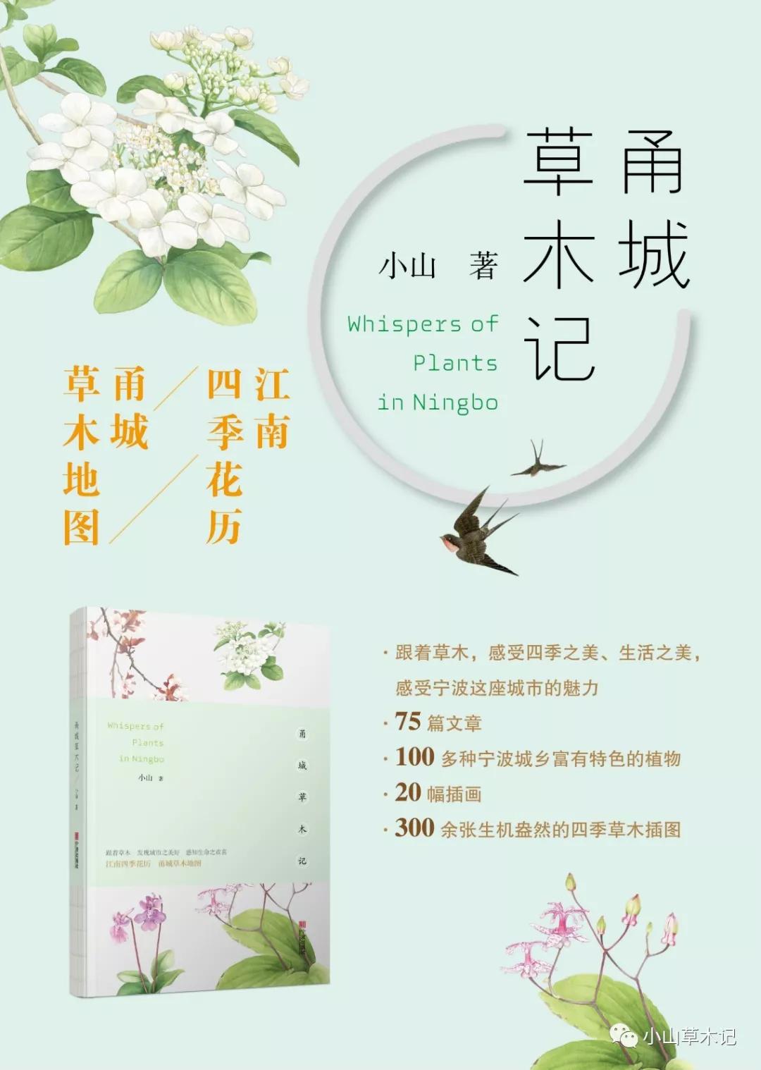 蜡梅|故人未寄岭头信，先报江南春意来