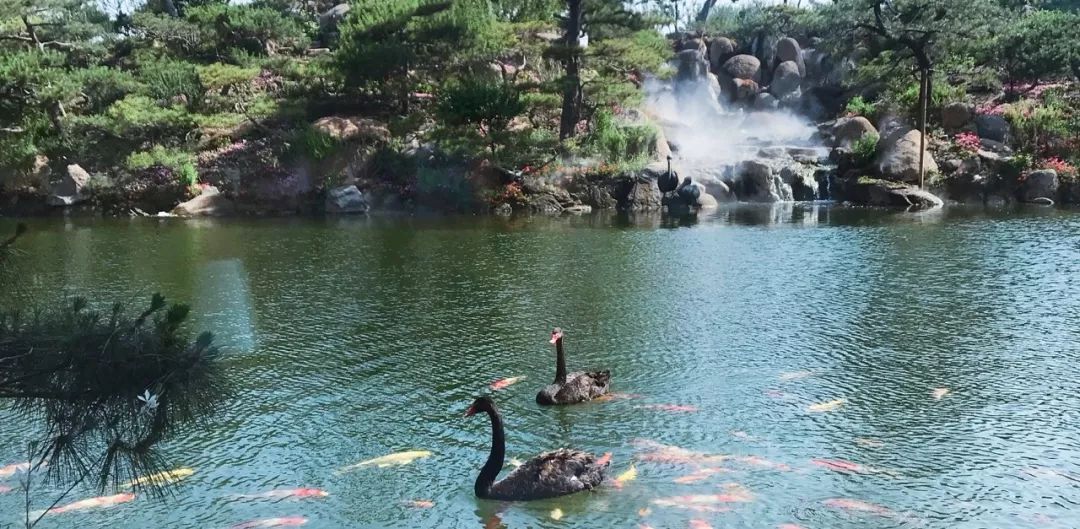 公关品牌形象的作用是什么,品牌公关主要做什么工作内容